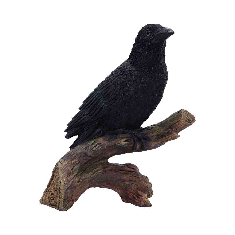 Nemesis Now - Ravens Perch 20cm Beeld/figuur - Multicolours